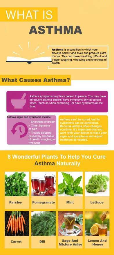 AsthmaGraphic