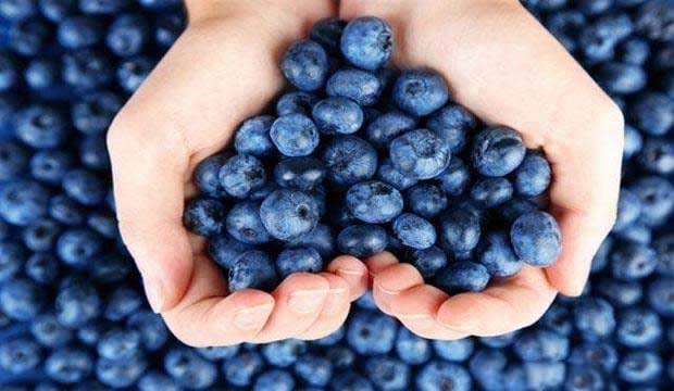 Blueberries for brain health