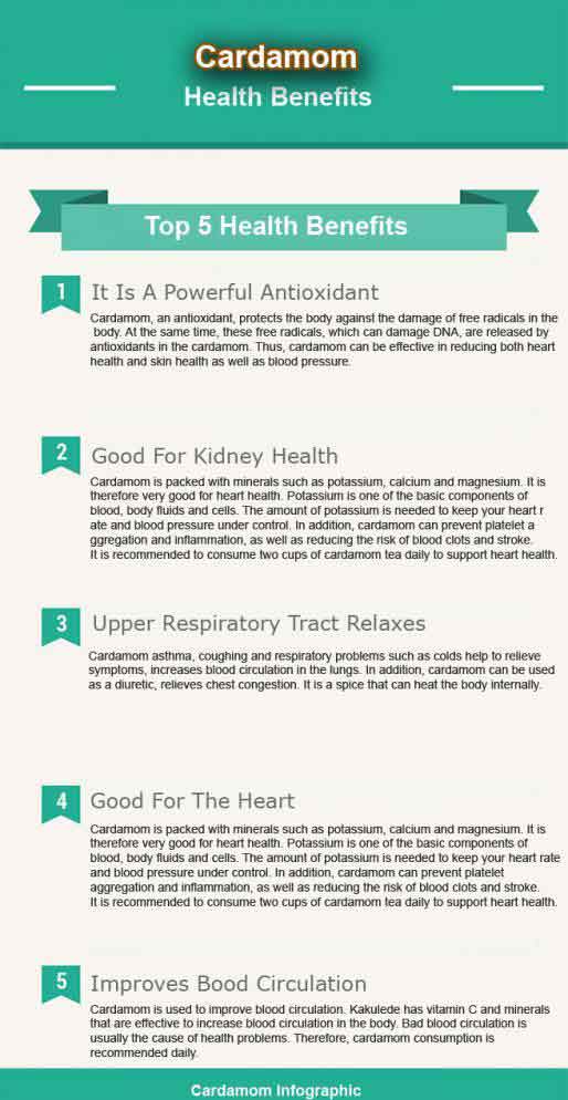 CardamomInfographic 1