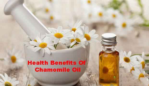 Chamomile Oil