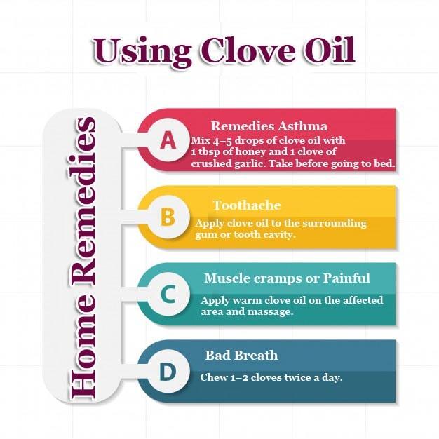 Clove Oil infographic 1