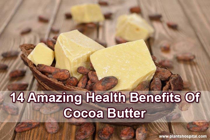 Cocoa butter benefits