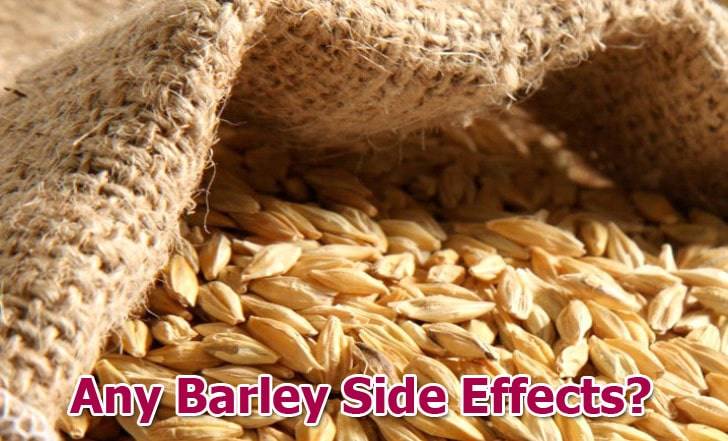 Damages Of Barley