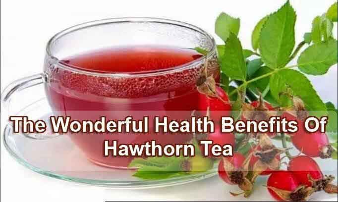 Hawthorn Tea 1