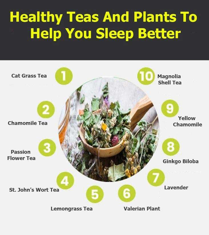 Healthy Teas And Plants To help you sleep better infographic