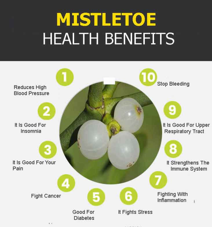 Mistletoe Graphic