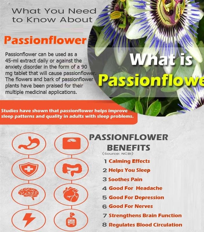 Passionflower benefits infographic e1600840731847