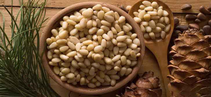 Pine Nuts benefits 1