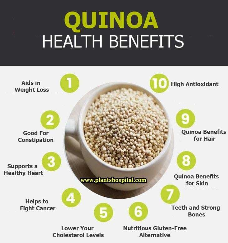 Quinoa infographic