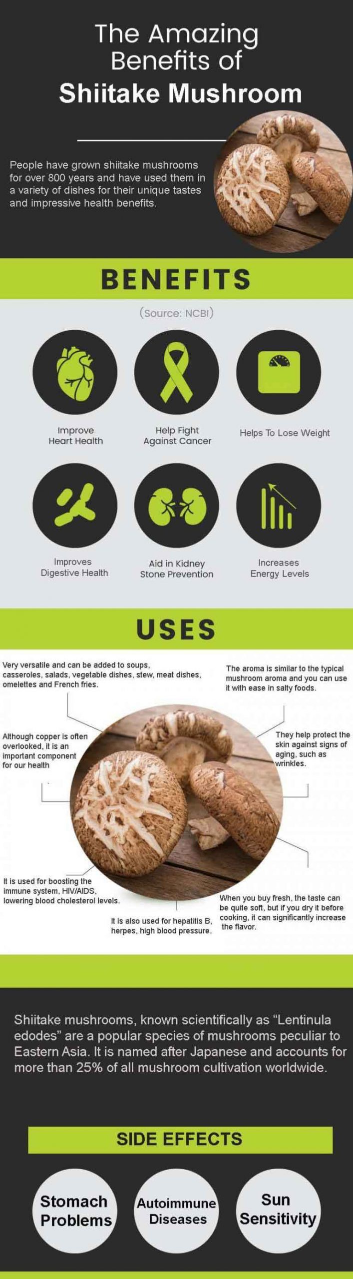 Shiitake Mushroom graphic scaled