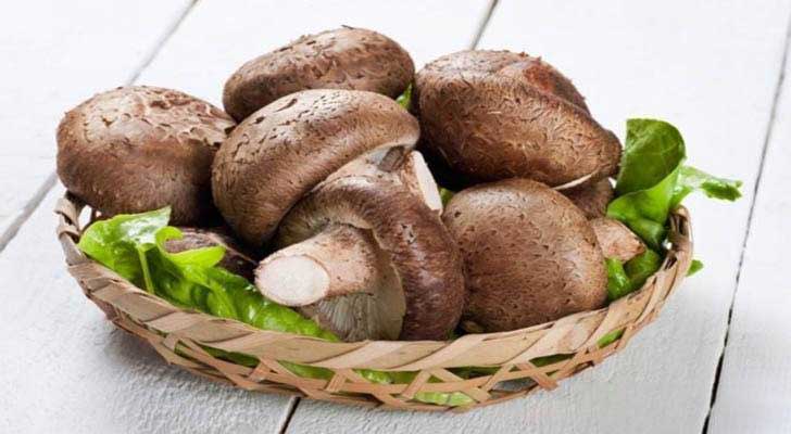 Shiitake Mushrooms