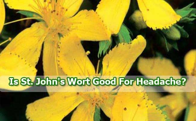 St. Johns Wort