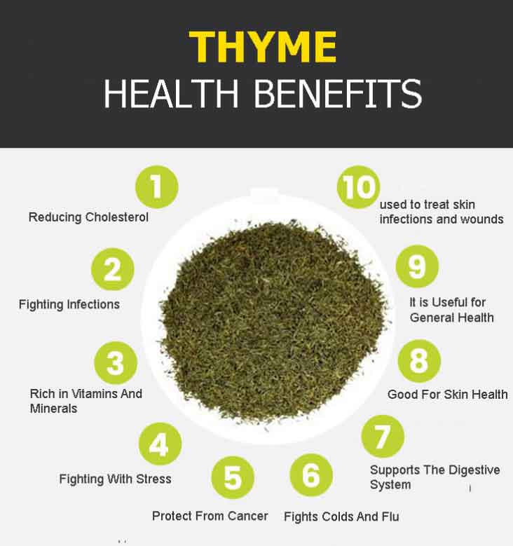 Thyme Graphic