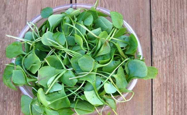 Watercress