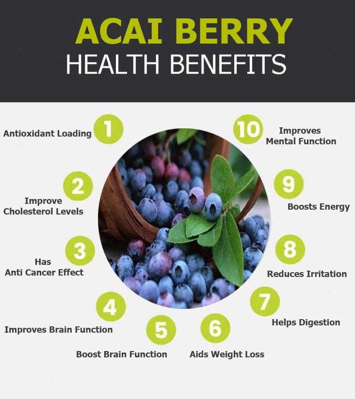 acai berry graphic