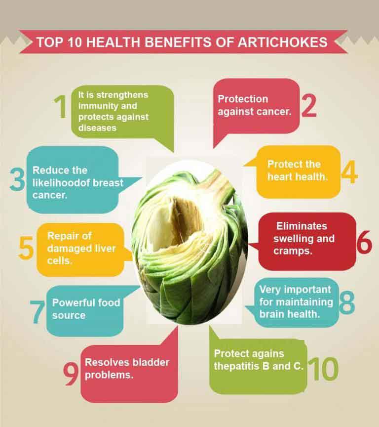 artichoke graphic