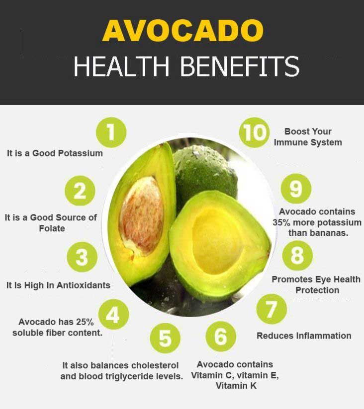 avocado graphic