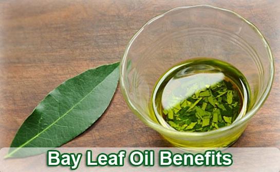 bay leaf oil