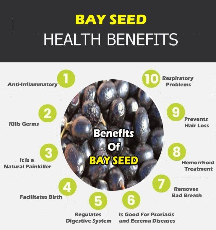 bay seed graphic e1600854013719