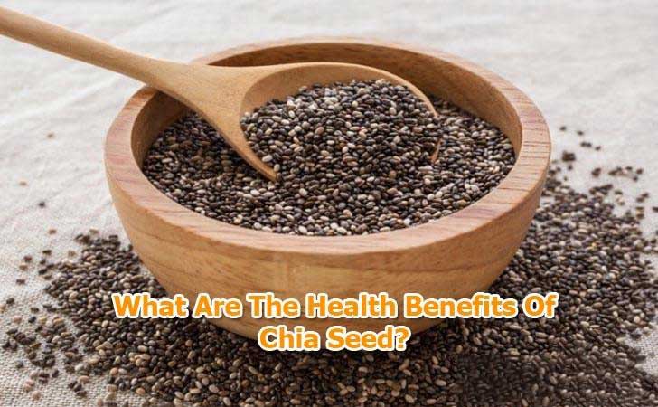 benefits of chia seed