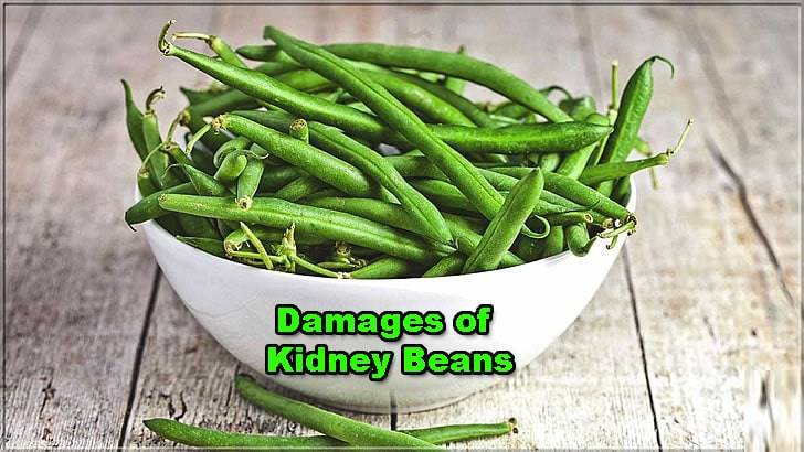 benefits of kidney beans