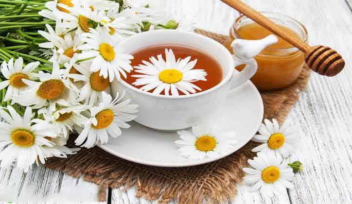 benefits to hair of chamomile