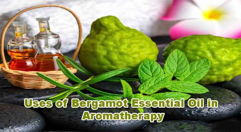 bergamot essential oil