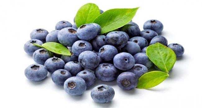 blueberries