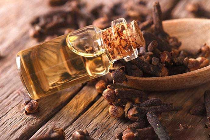 clove oil benefits 1