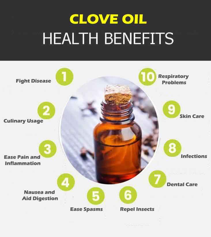 clove oil graphic