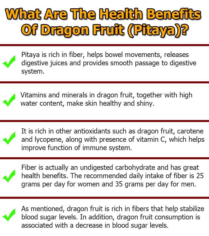 dragon fruit pitaya graphic