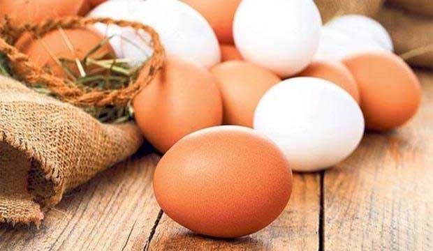 egg for brain health