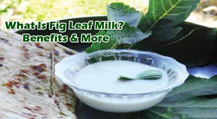 fig leaf milk benefits