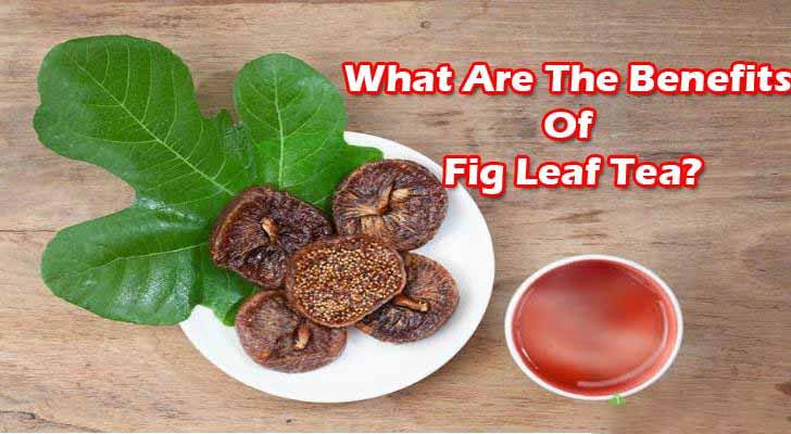 fig leaf tea benefits