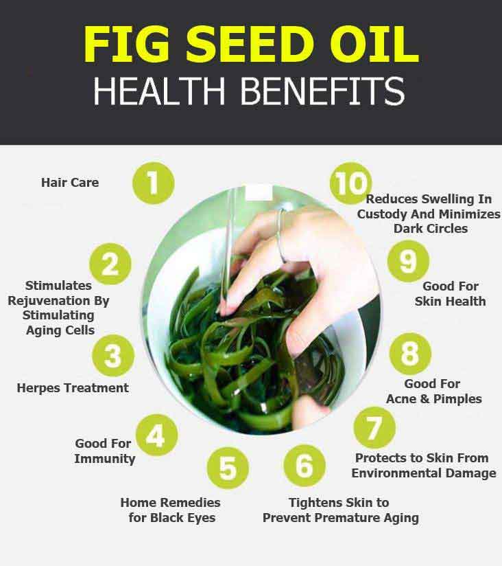 fig seed oil infographic