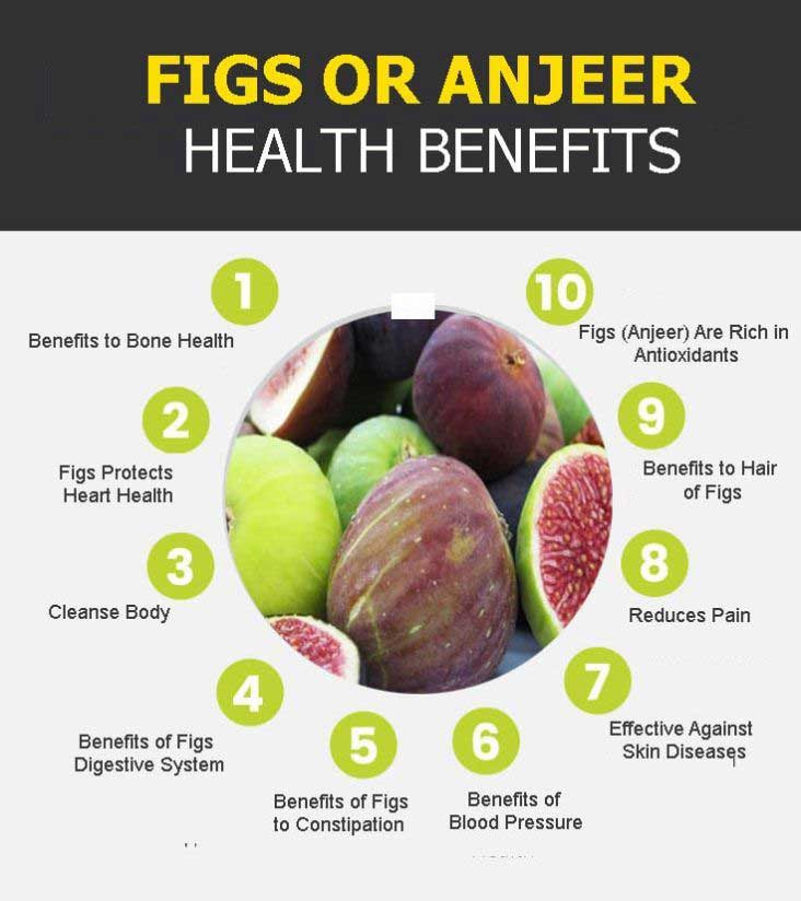 figs graphic