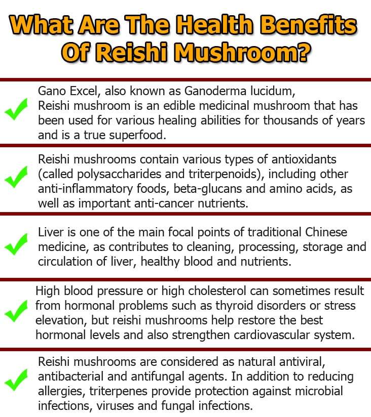 ganoderma lucidum graphic