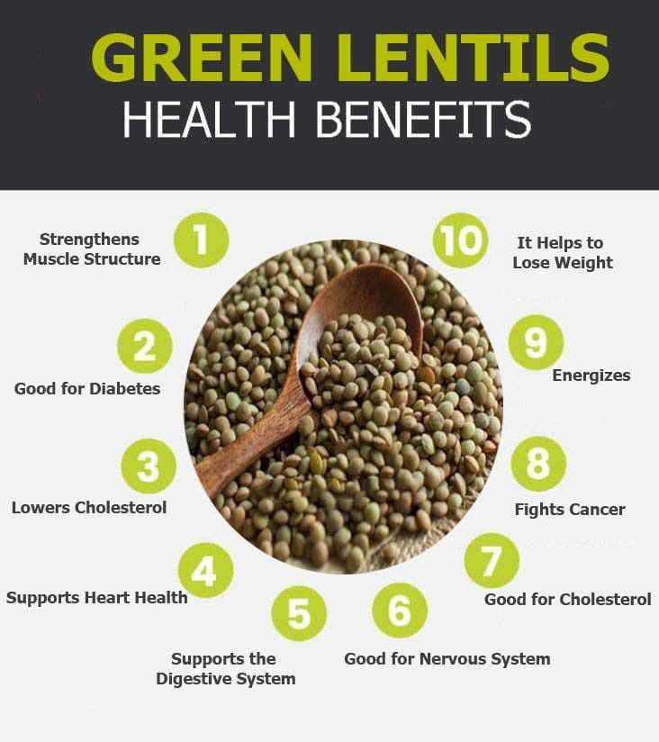 green lentils graphic