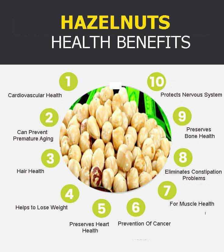 hazelnuts graphic