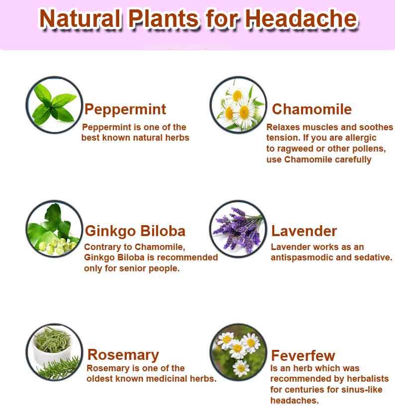 headache info