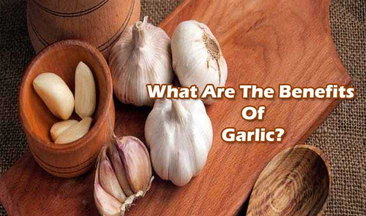 health benefits of garlic