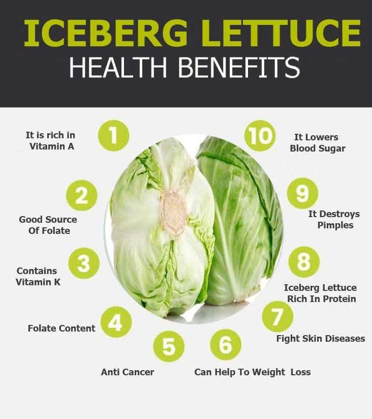 iceberg lettuce graphic