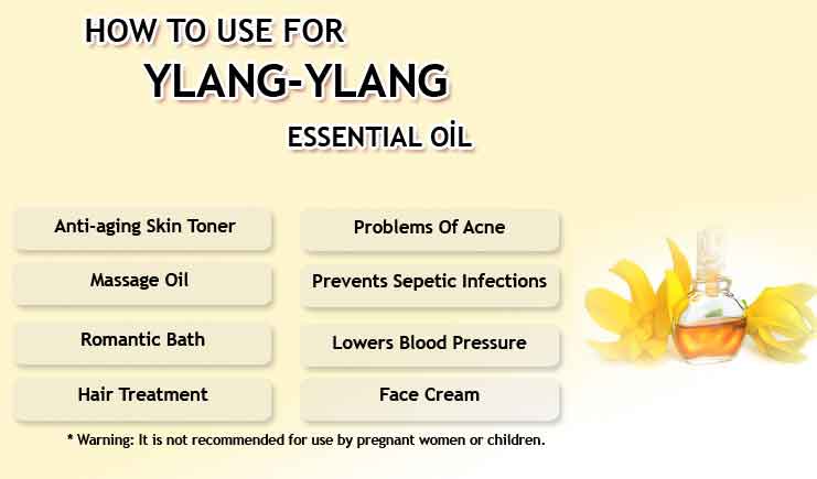 info ylang ylang oil