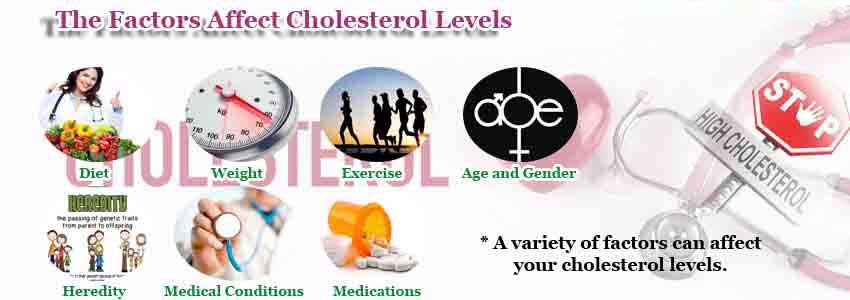 infocholesterol