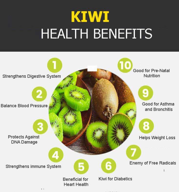 kiwi graphic