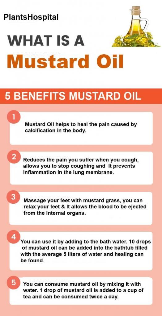 mustard oil graphic