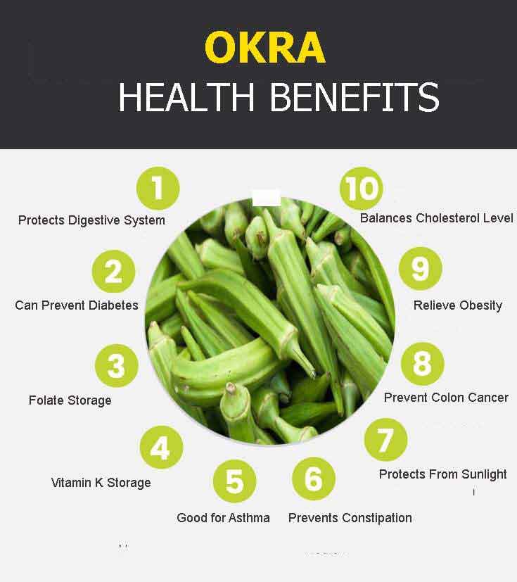 okra graphic