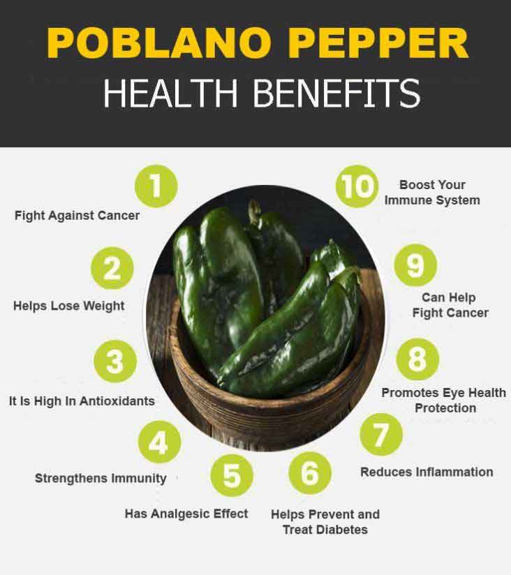 poblano pepper infographic