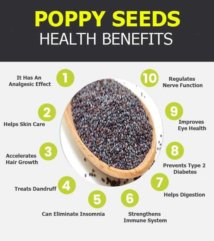 poppy seeds graphic