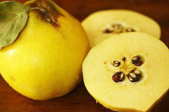 quince seed